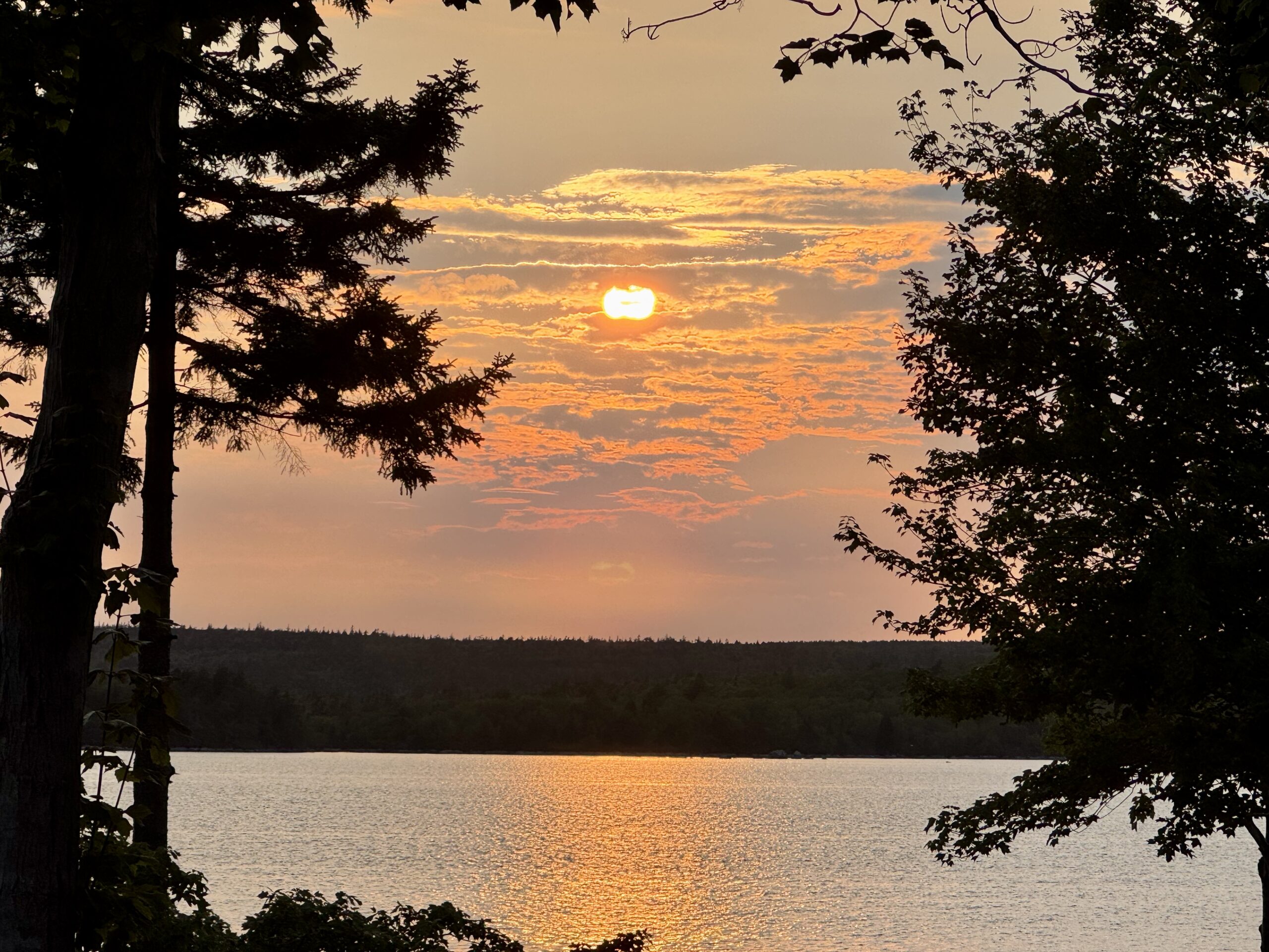 sunset over a lake peering through trees
